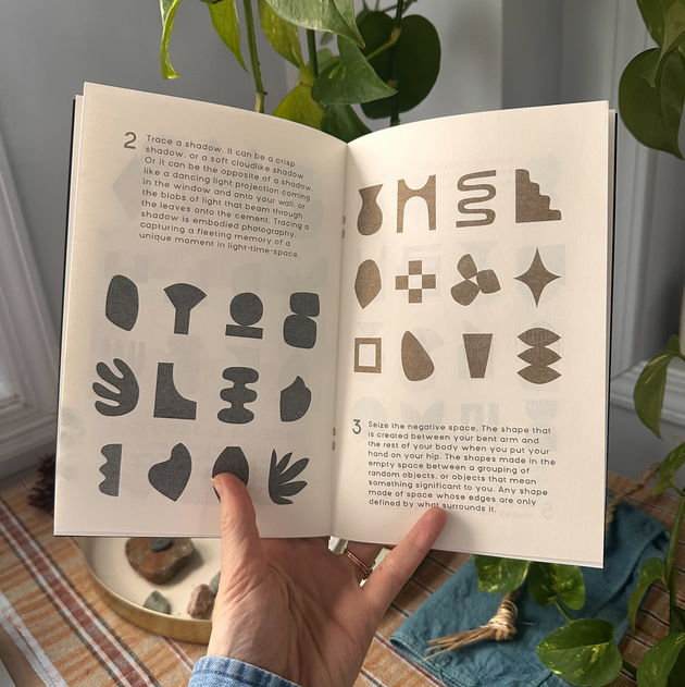 A Library of Shapes Risograph Zine