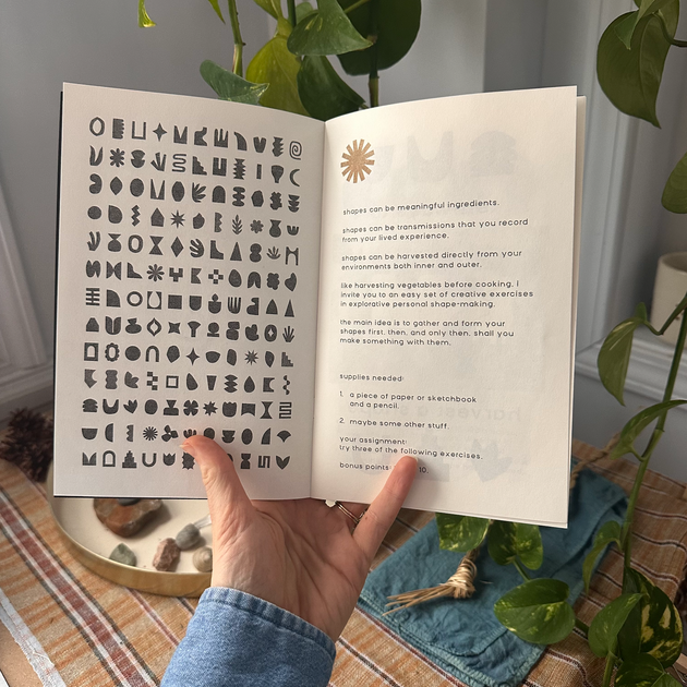 A Library of Shapes Risograph Zine