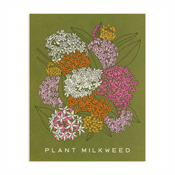 Milkweed 11 x 14 Botanical Screen Print