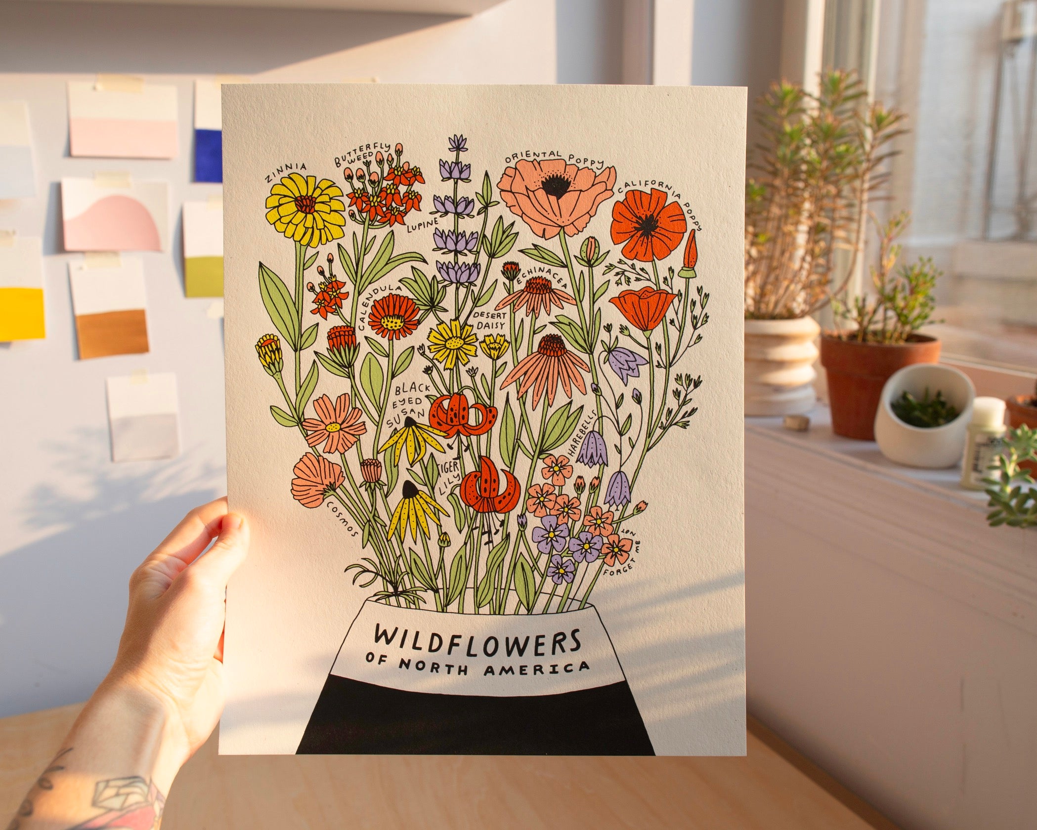 Wildflowers of North America 11x14 Botanical Screen Print – Worthwhile Paper