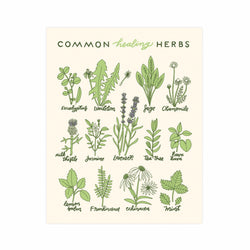 Healing Herbs 11x14 Screen Print