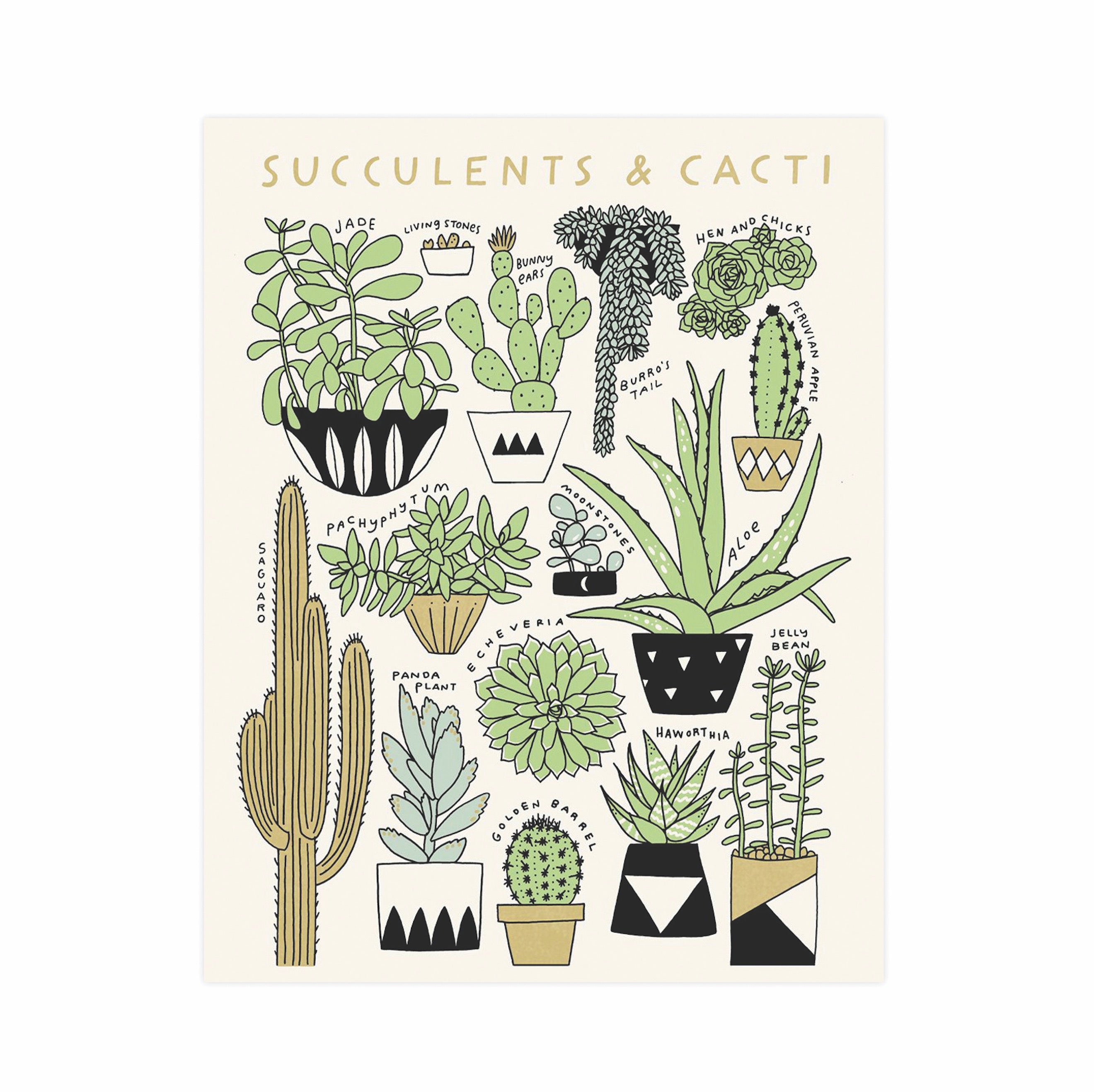 succulent art print Succulents & Cacti 11x14 Botanical Screen Print