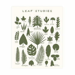 Leaf Studies 16x20 Screen Print