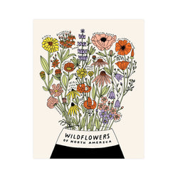 Wildflowers of North America 11x14 Botanical Screen Print