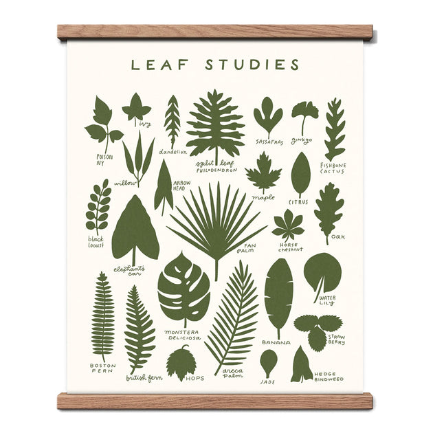 Leaf Studies 16x20 Screen Print