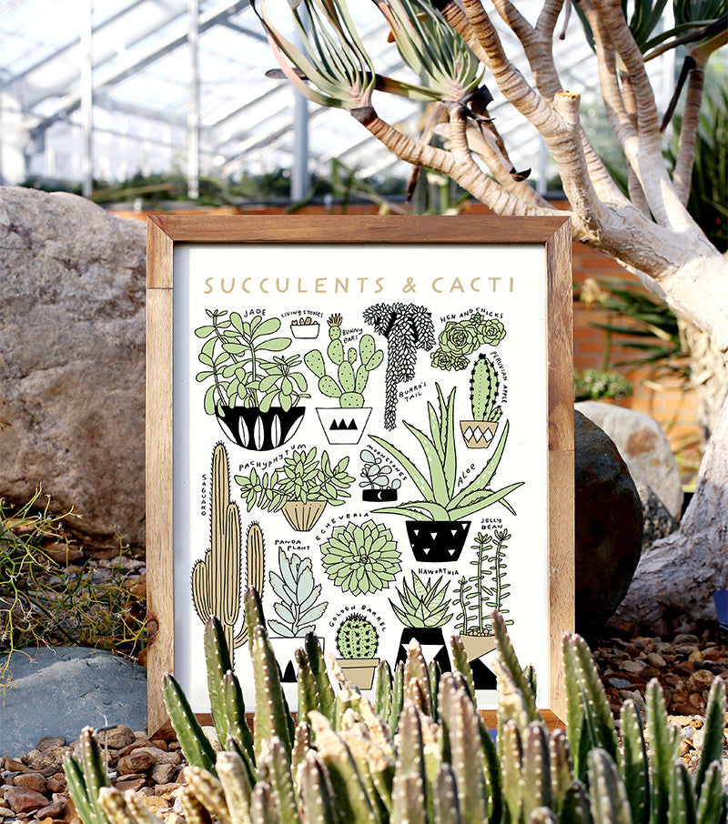chart of succulents Succulents & Cacti 11x14 Botanical Screen Print